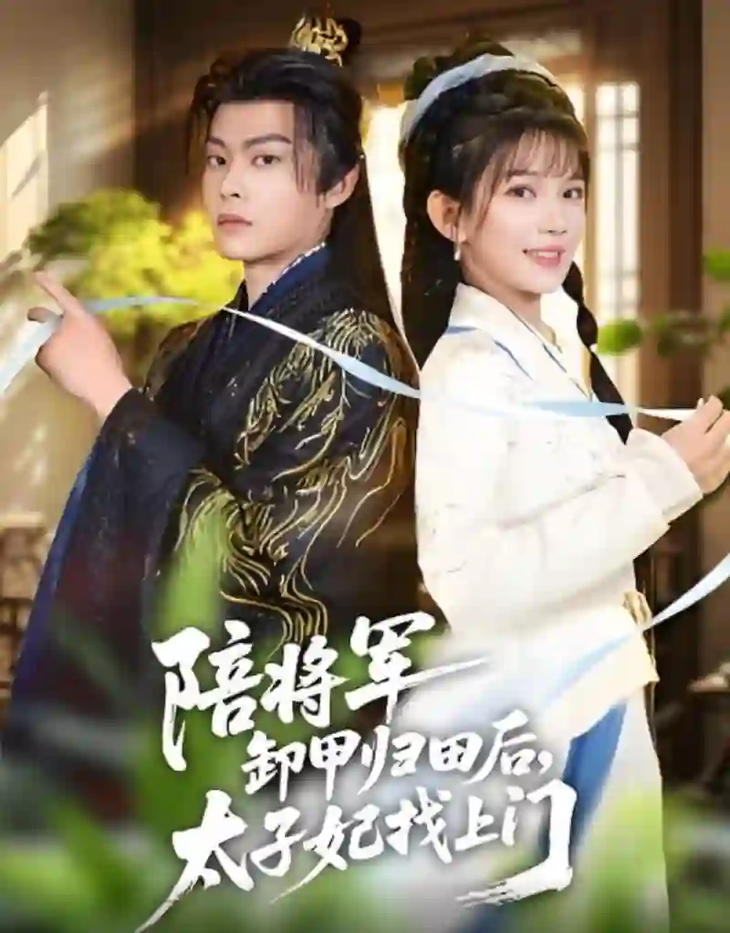 陪将军卸甲归田后，太子妃找上门