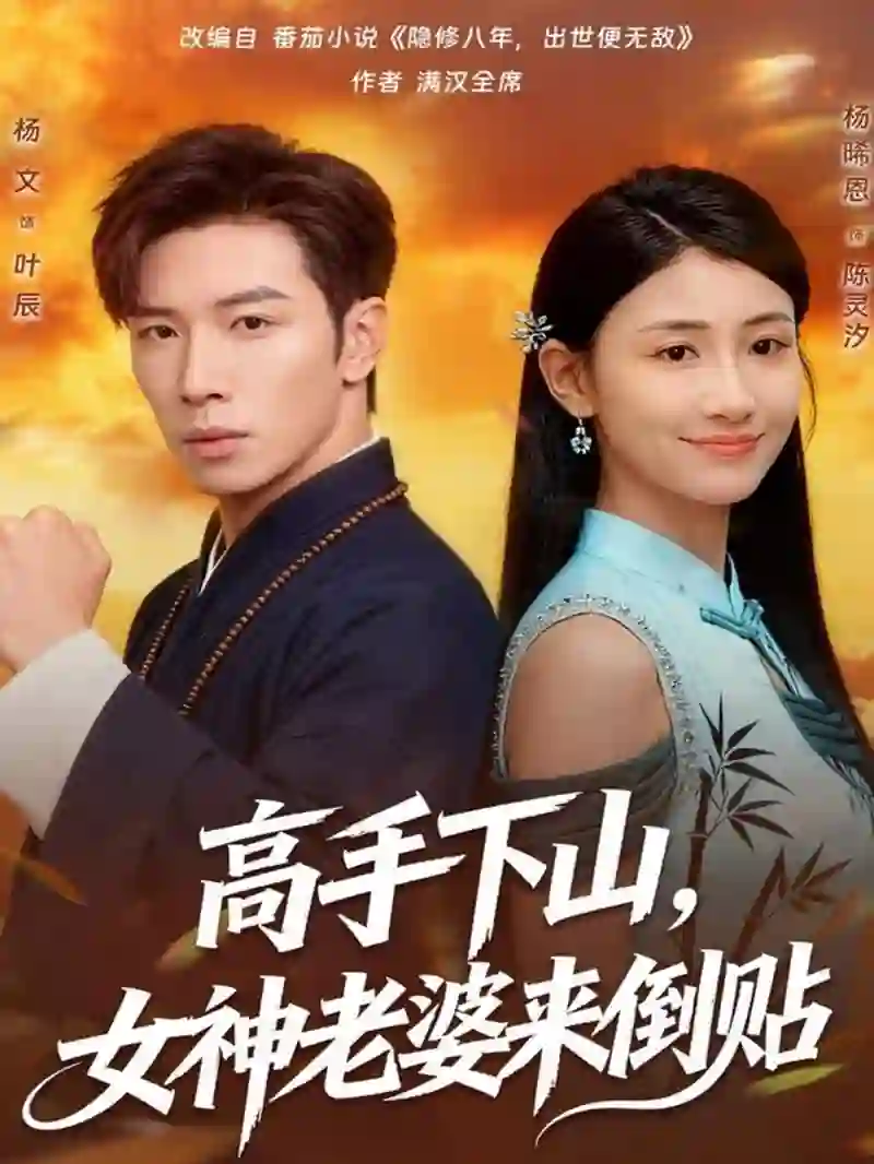 高手下山，女神老婆来倒贴