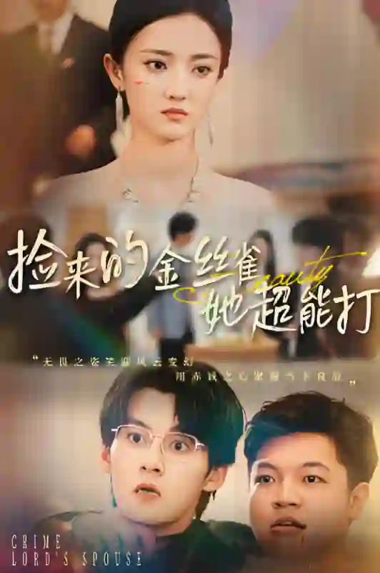 捡来的金丝雀她超能打（和小娇夫领证后夫人她不装了）